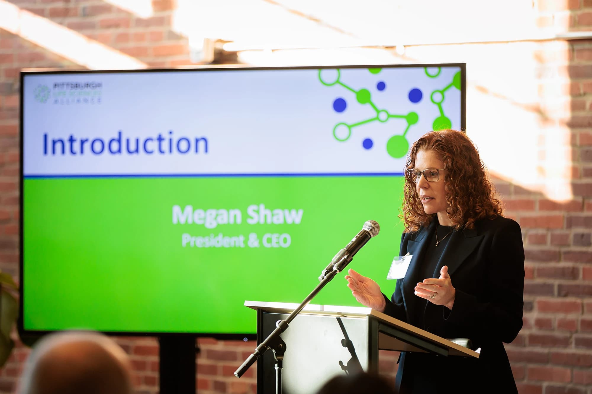 Pittsburgh Legal Services Association Opportunities Event networking